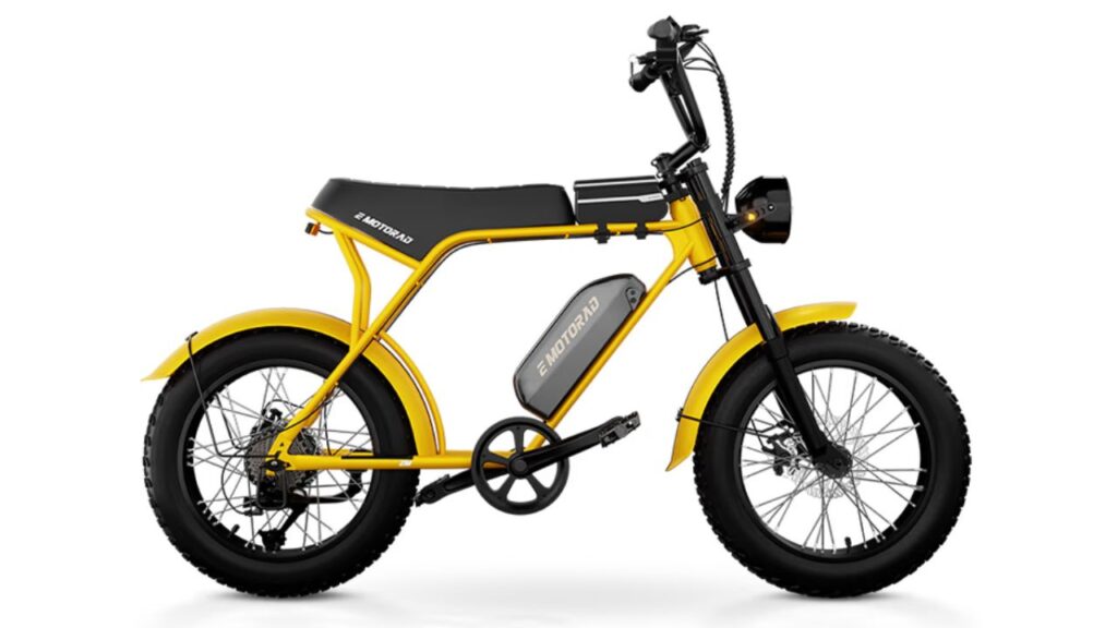 EMotorad Ranger e-Bike